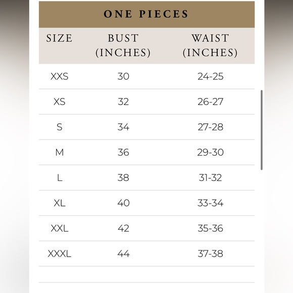 Albion Rica One-Piece Full Coverage Swimsuit In Steel Blue Size Women’s XL - Picture 15 of 15